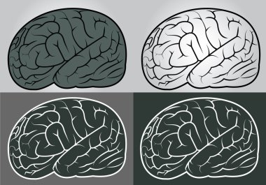 Vektör anahat illüstrasyon insan beyni kümesinin