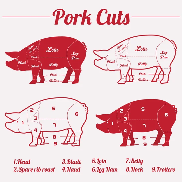 PORK meat cuts — Stock Vector