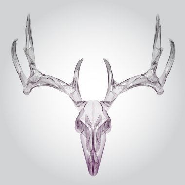 Wireframe deer skull