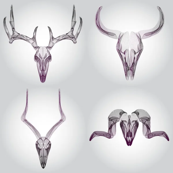 Wireframe animal skulls — Stock Vector
