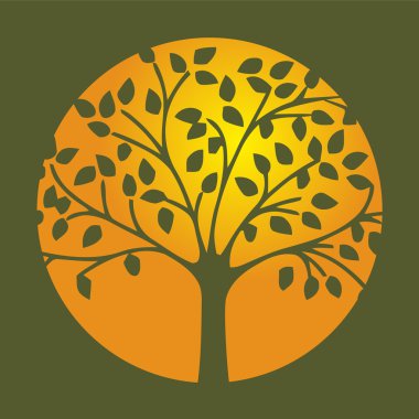 Orman doğa günbatımı arka plan