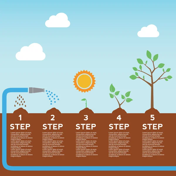 Infografica temporale del processo di piantagione degli alberi — Vettoriale Stock