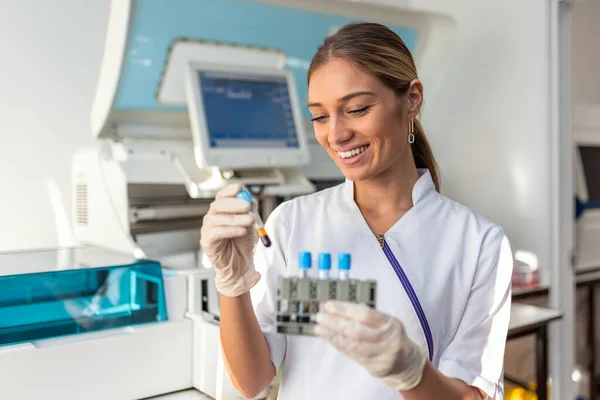 Laboratory assistant putting test tubes into the holder. Scientist doctor looking at blood test tube working at biochemistry experiment in microbiology hospital laboratory.
