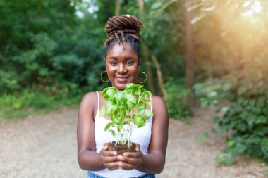 Tohum tutan bir kadının yakın plan görüntüsü. Kadın bahçıvan elleri serada bir fidan tutuyor..