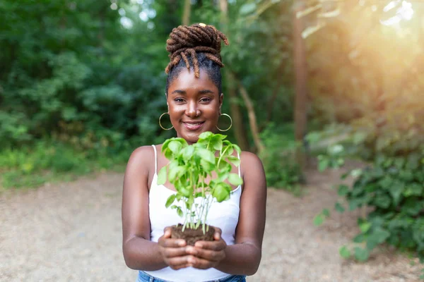 Tohum tutan bir kadının yakın plan görüntüsü. Kadın bahçıvan elleri serada bir fidan tutuyor..