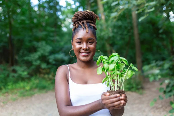 Avucunun içinde yeşil bir bitki tutan bir kadının yakın plan fotoğrafı. Genç taze bir filizi tutan eli kapat..