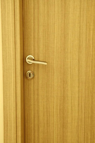 Yeni ahşap panel kapı