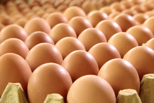 Cartón de huevo amarillo ecológico —  Fotos de Stock