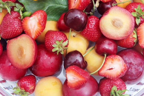 Frutas de verano orgánicas y frescas — Foto de Stock
