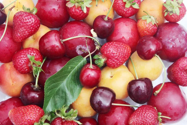 Frutas de verano orgánicas y frescas — Foto de Stock