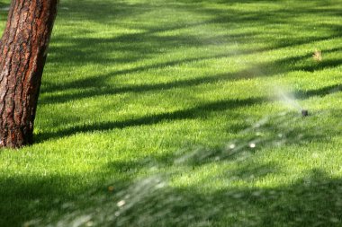çim yağmurlama sistemi ile sulama  