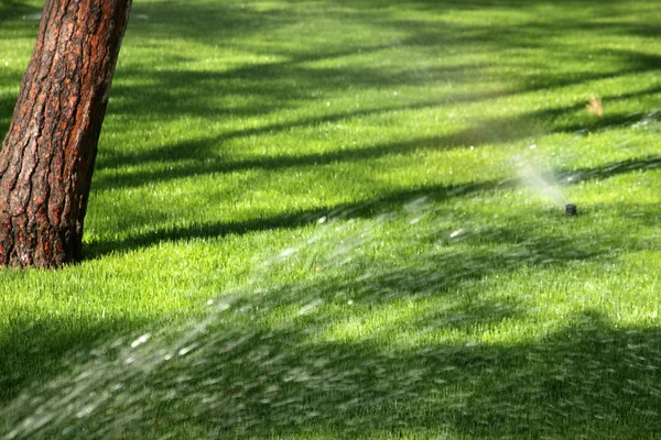 Het gras met sprinklerinstallatie drenken — Stockfoto