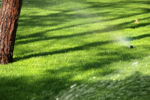 Regar a grama com sistema de aspersão — Fotografia de Stock