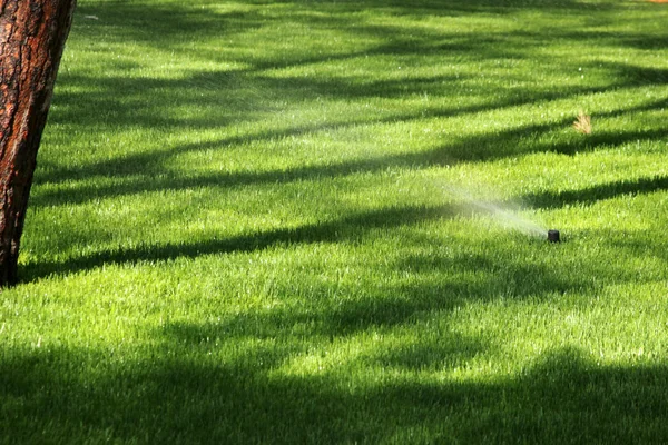 Het gras met sprinklerinstallatie drenken — Stockfoto