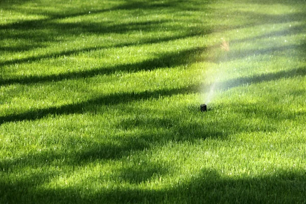 Regar a grama com sistema de aspersão — Fotografia de Stock
