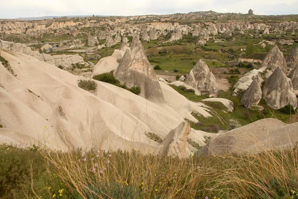 있는 카파도키아 (cappadocia) 요정 굴뚝 — 스톡 사진