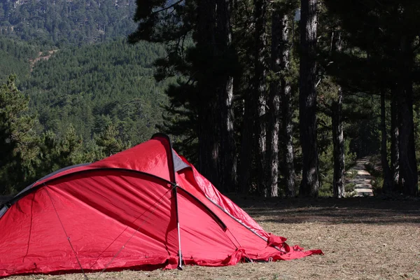 Bos camping en wandelpad — Stockfoto