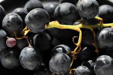 Taze koyu kırmızı üzümler. Kapatın.