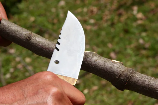 Close Hand Cutting Tree Branch Outdoors — Stock Photo, Image