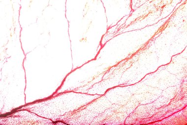 Kuru Yaprak Dokusu Soyut Arkaplan