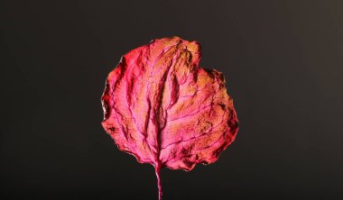 Kuru Yaprak Dokusu Soyut Arkaplan