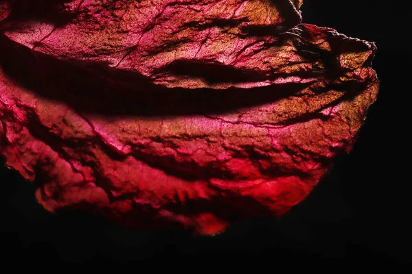 Dry Leaf Texture Abstract Background — 스톡 사진