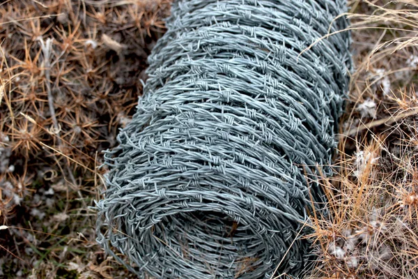 Razor Wire Mesh Thorns — Stock Photo, Image