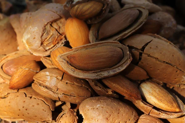 Badem Hasat Zamanı Kırılmış Badem — Stok fotoğraf