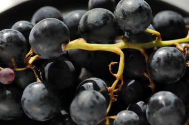 Taze koyu kırmızı üzümler. Kapatın.