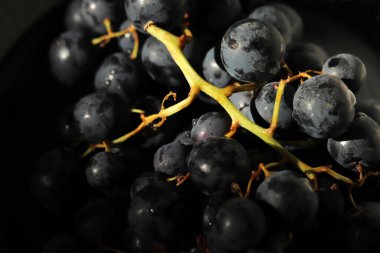 Taze koyu kırmızı üzümler. Kapatın.