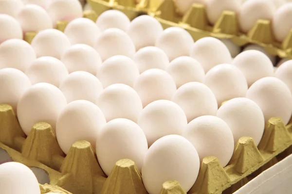 Huevos Frescos Fábrica Huevos Industria Fábrica Huevos —  Fotos de Stock