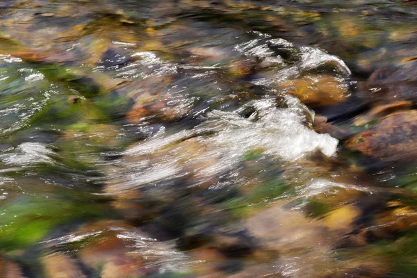 Reines Quellwasser Bach — Stockfoto