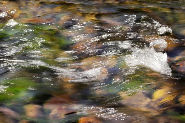 Nehirdeki Saf Kaynak Suyu — Stok fotoğraf