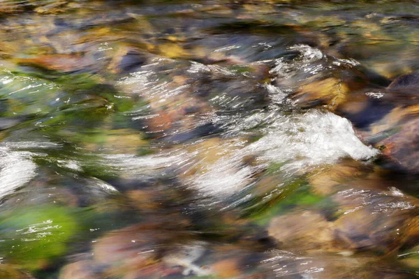 Nehirdeki Saf Kaynak Suyu — Stok fotoğraf