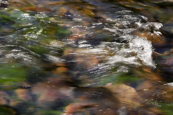 Nehirdeki Saf Kaynak Suyu — Stok fotoğraf