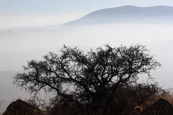 Foggy Sky Mountain Nature Background — Stock Photo, Image