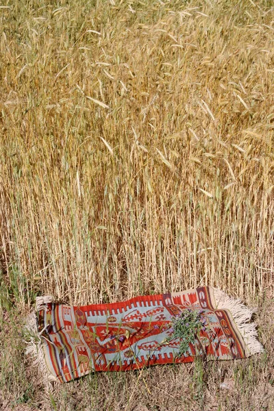 Wheat Field Antique Rug — Stock Photo, Image