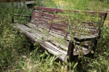 Terk edilmiş bahçe ve eski bank