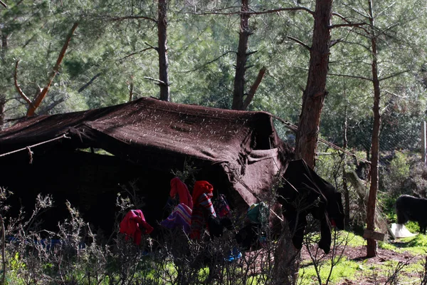 Goat Hair Tents Nomadic People — Stock Photo, Image