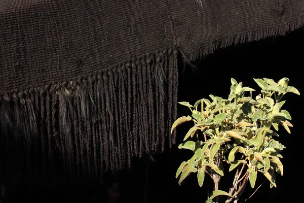 Goat hair tents of nomadic people