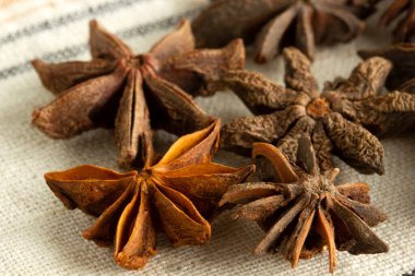 keten kumaşta yıldız anasonu