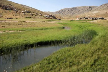Dağlardaki güzel dere. Peyzaj fotoğrafı.