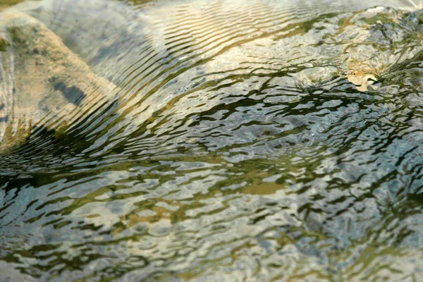 Frisches Bergwasser Frühling Fließender Strom — Stockfoto