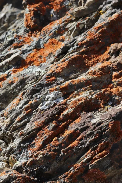 Granit Rock Struktur Bakgrund Abstrakt — Stockfoto