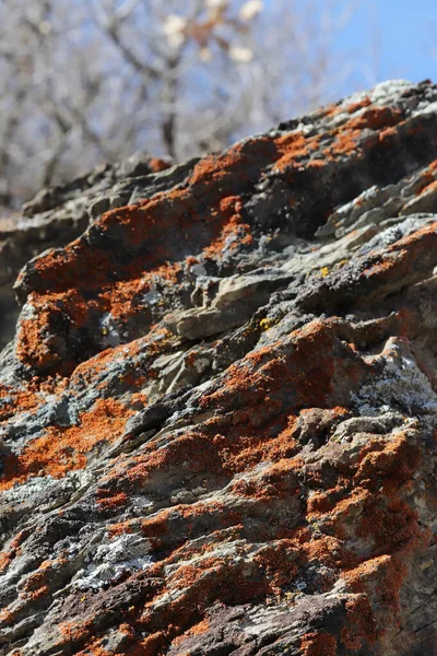 Granit Rock Struktur Bakgrund Abstrakt — Stockfoto