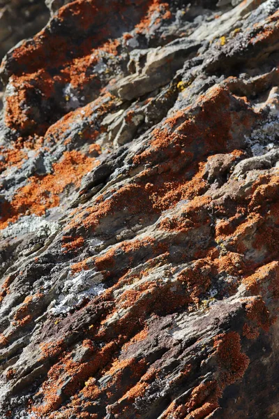 花崗岩のテクスチャ背景抽象 — ストック写真