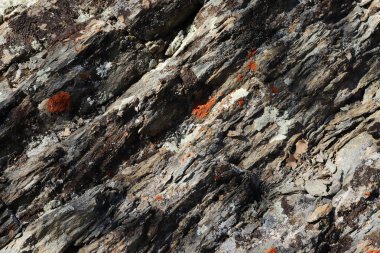 Granit kaya dokusu soyut arkaplan 