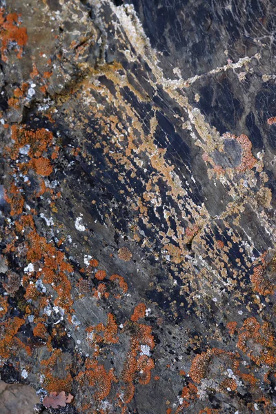 Granito Textura Roca Fondo Abstracto —  Fotos de Stock