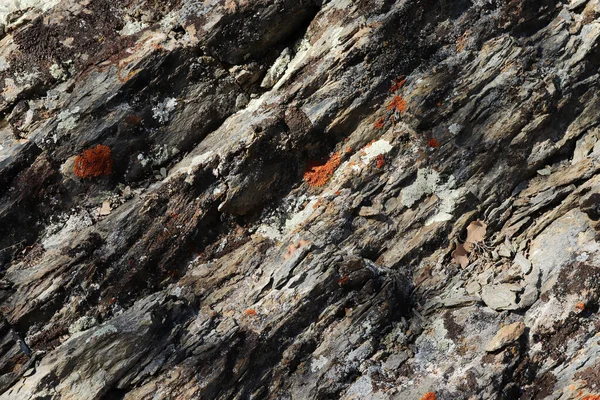 花崗岩のテクスチャ背景抽象 — ストック写真