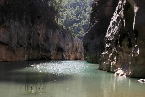 Eau Courante Dans Vallée Rocheuse — Photo